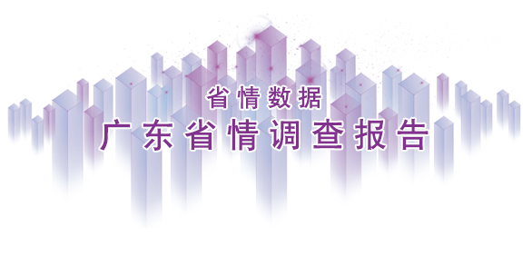 广东省情调查报告